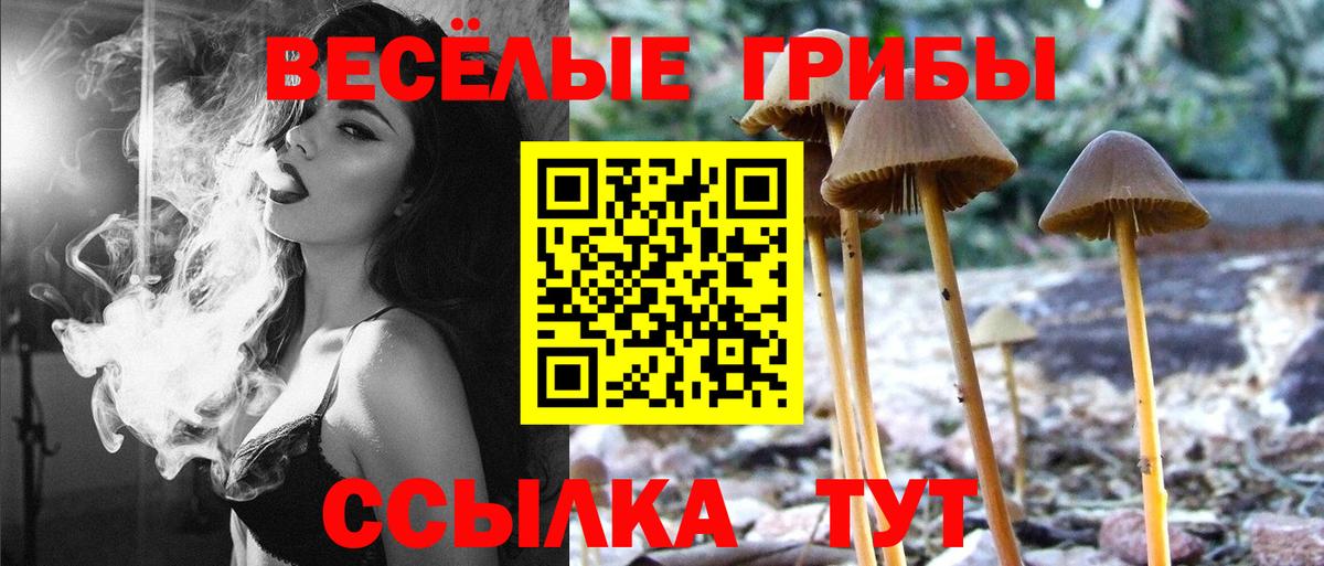 Сертолово  купить наркотики цена  Вход с VPN  Галлюциногенные грибы Magic Shrooms 